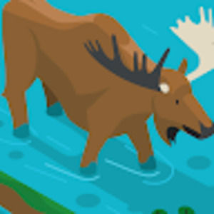 Meet your Posher, Gail